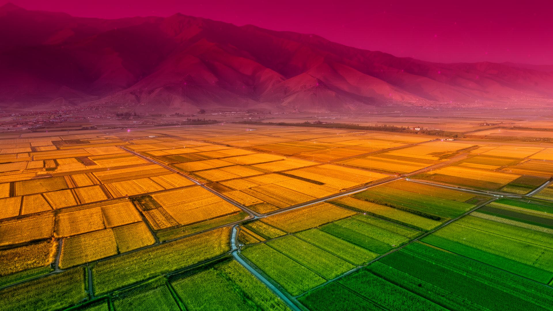Vista aérea de campos de cultivo en Lambayeque con un canal de riego iluminado al atardecer y una sutil malla de datos satelitales superpuesta.